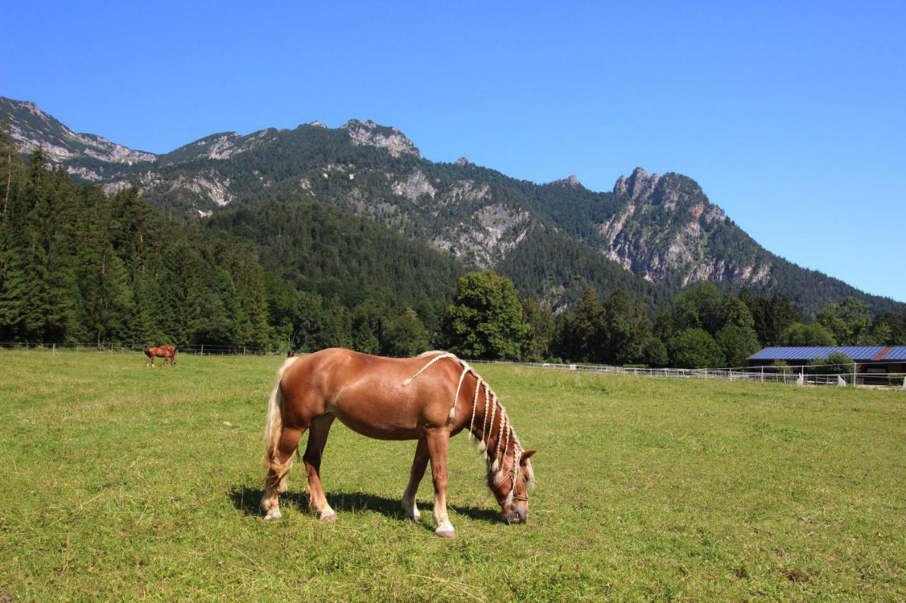Ferienhaus Gestuet Pfaffenlehen Bischofswiesen Exteriör bild